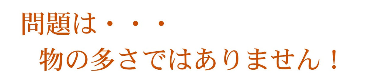 Artella Portfolio Plus 商品説明 9