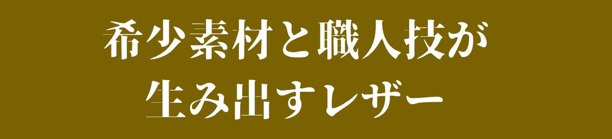 Artella Portfolio Plus 商品説明 31