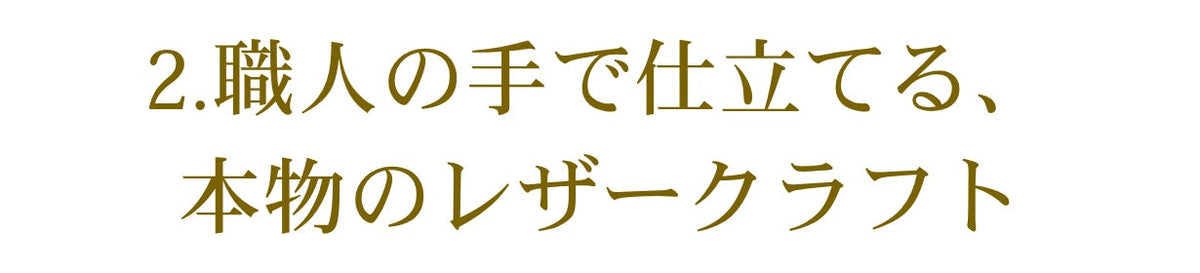 Artella Portfolio Plus 商品説明 37