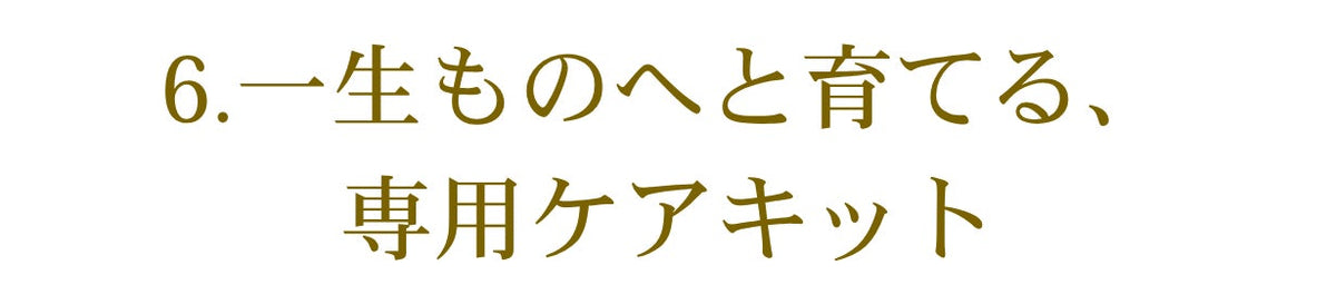 Artella Portfolio Plus 商品説明 50