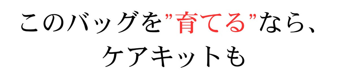 Artella Portfolio Plus 商品説明 53