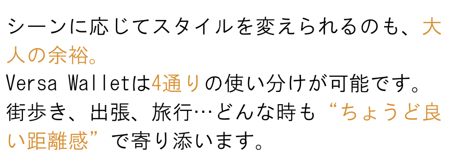 Versa Wallet 商品説明 30