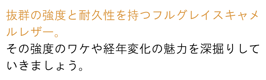 Versa Wallet 商品説明 38