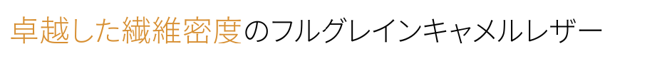 Versa Wallet 商品説明 40