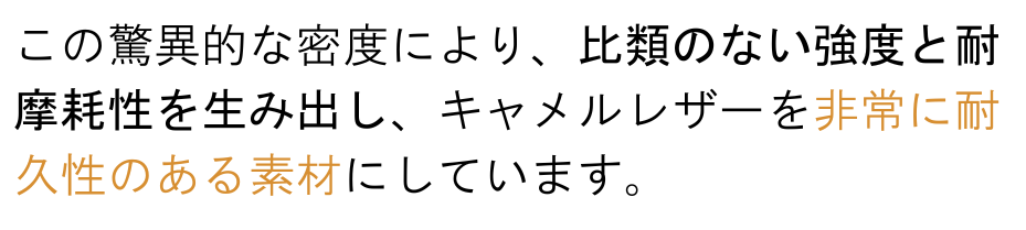 Versa Wallet 商品説明 42