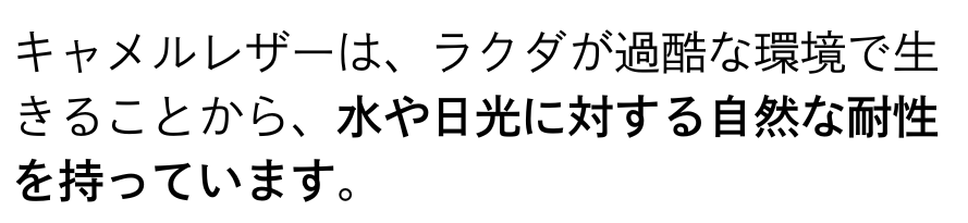 Versa Wallet 商品説明 45
