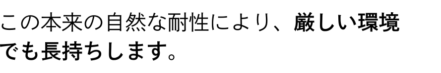 Versa Wallet 商品説明 47