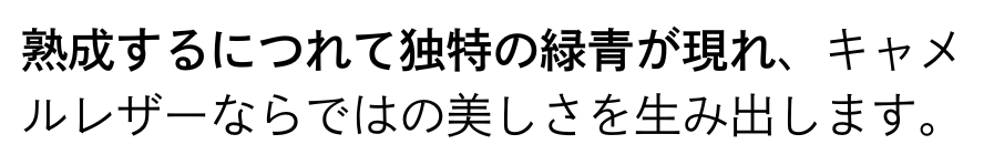 Versa Wallet 商品説明 49