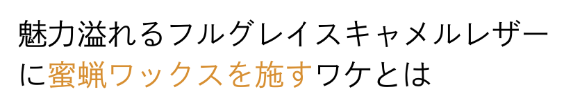 Versa Wallet 商品説明 52
