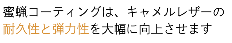 Versa Wallet 商品説明 54