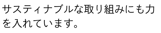 Versa Wallet 商品説明 77