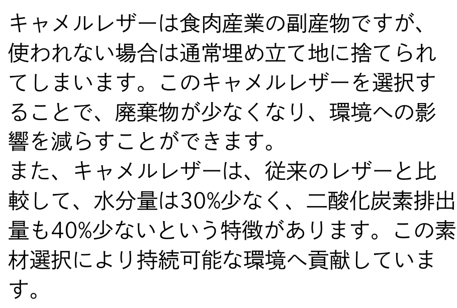 Versa Wallet 商品説明 80